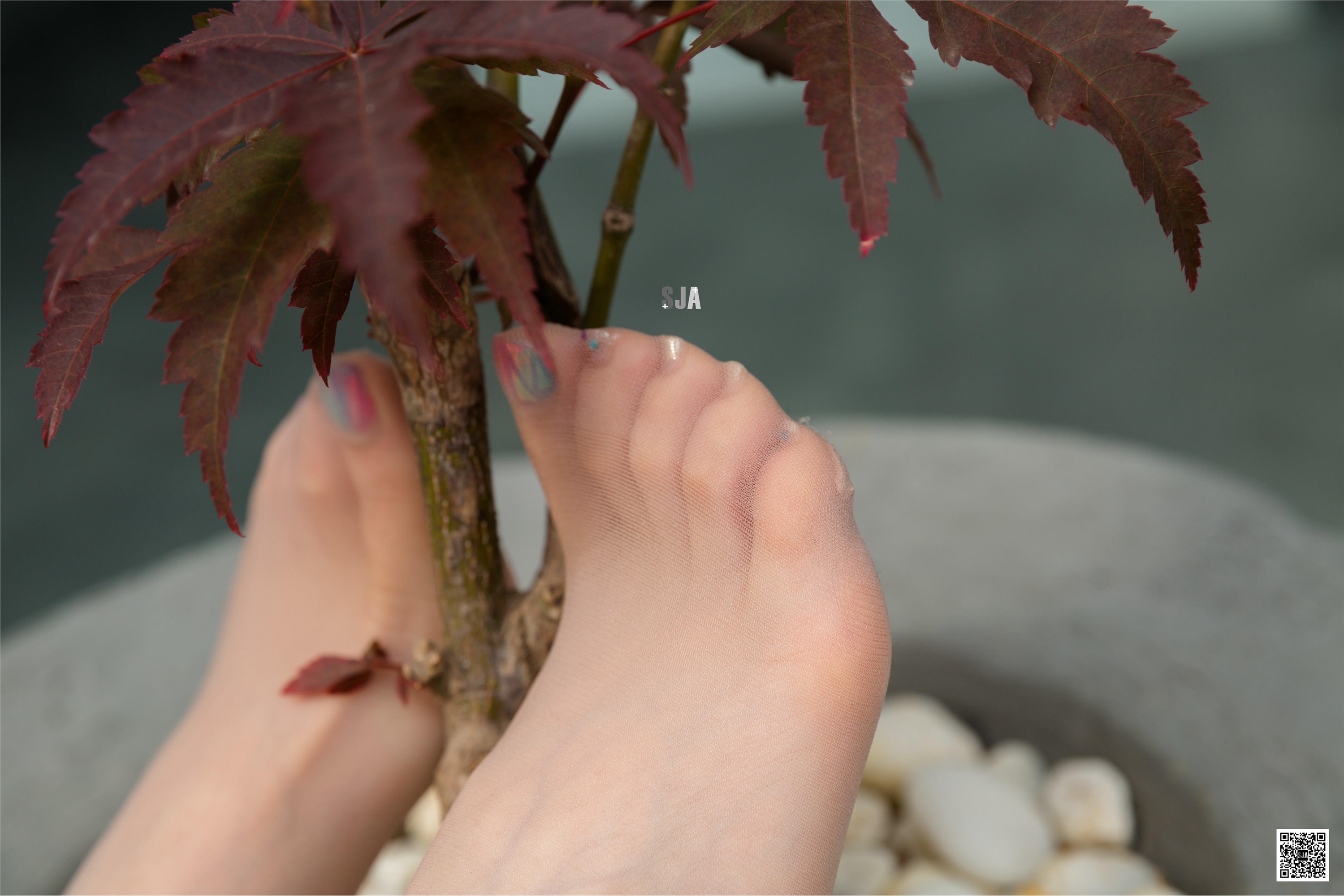 SJA佳爷 闺蜜视角 NO.064 柔